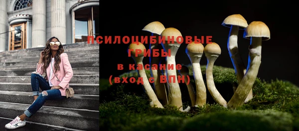 ешки Алексин
