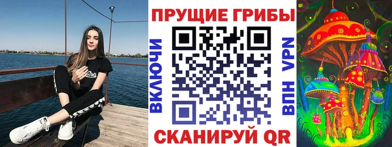даркнет какой сайт  Алексеевка  Псилоцибиновые грибы Magic Shrooms 
