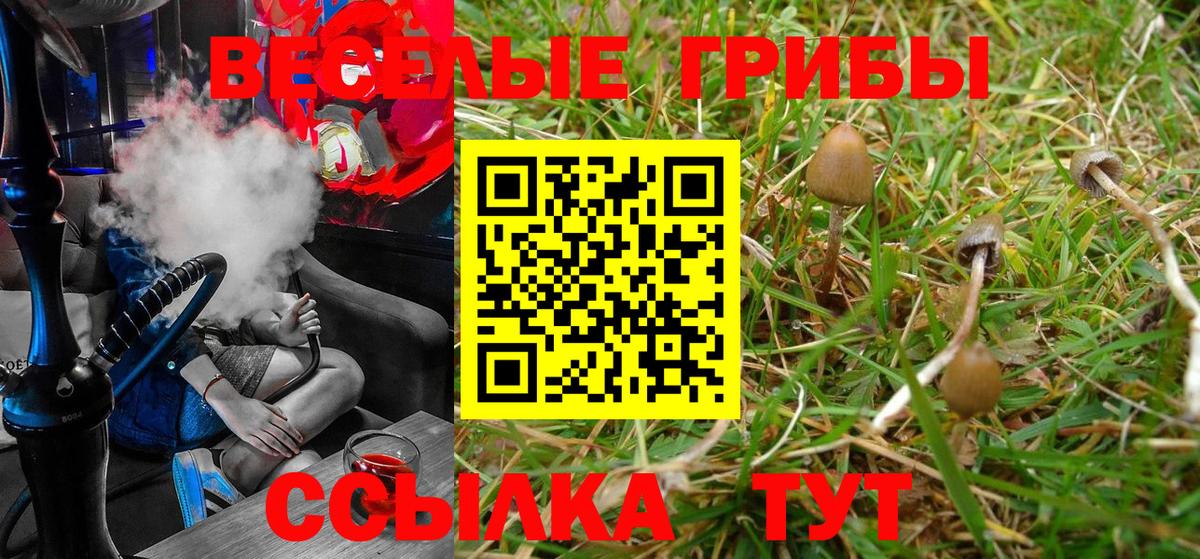 Галлюциногенные грибы Cubensis Алексеевка