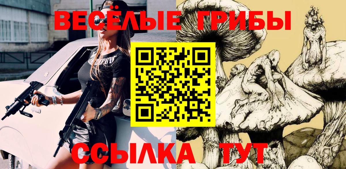 Алексеевка  Псилоцибиновые грибы Cubensis  Вход с VPN 